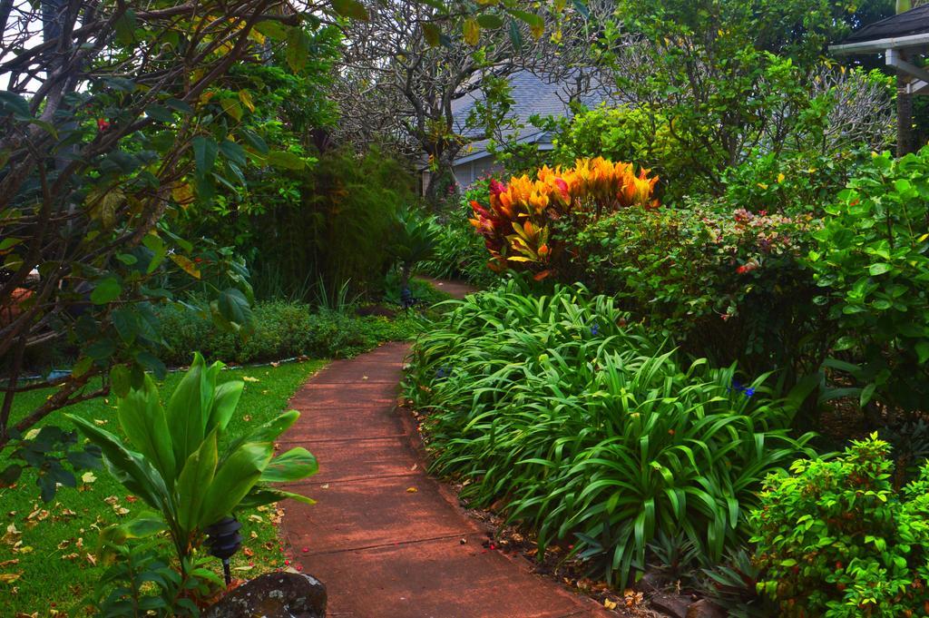 Banyan Tree B&B Retreat Makawao Esterno foto